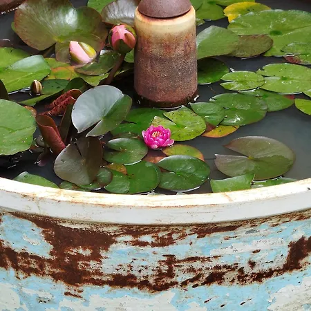 Ferme Goodwill Farma Agonac