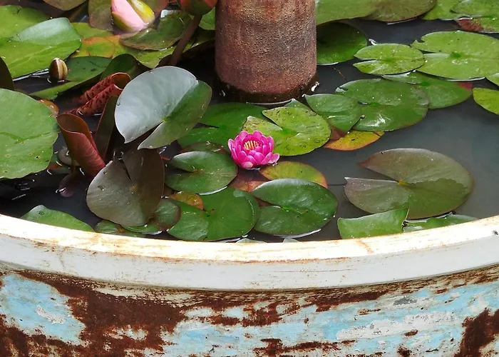 Ferme Goodwill Farma Agonac